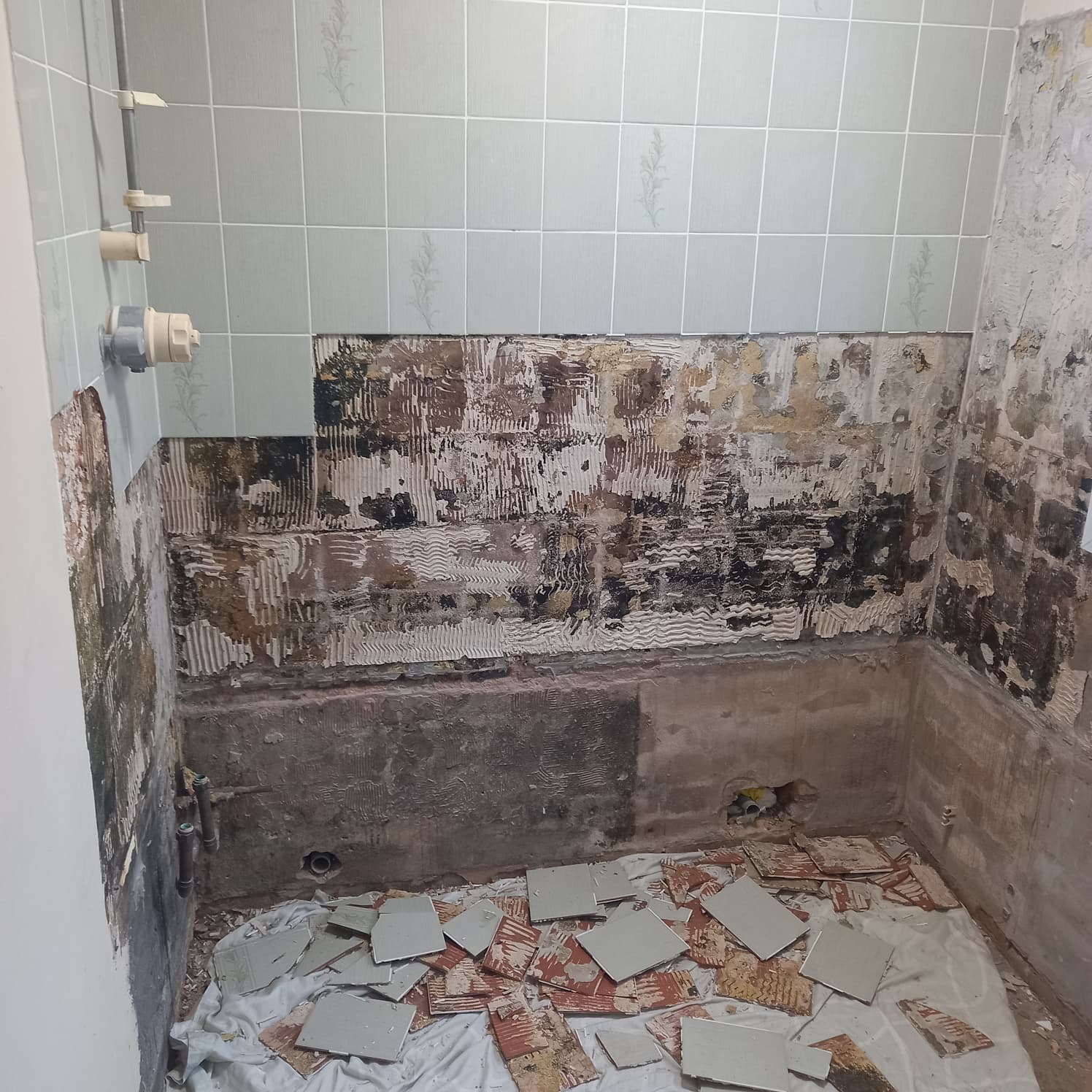 Bathroom before renovation